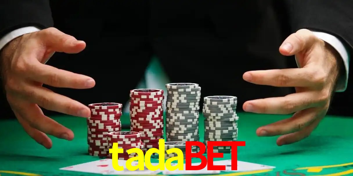 tadabet Aplicativo - tadabet visual 2