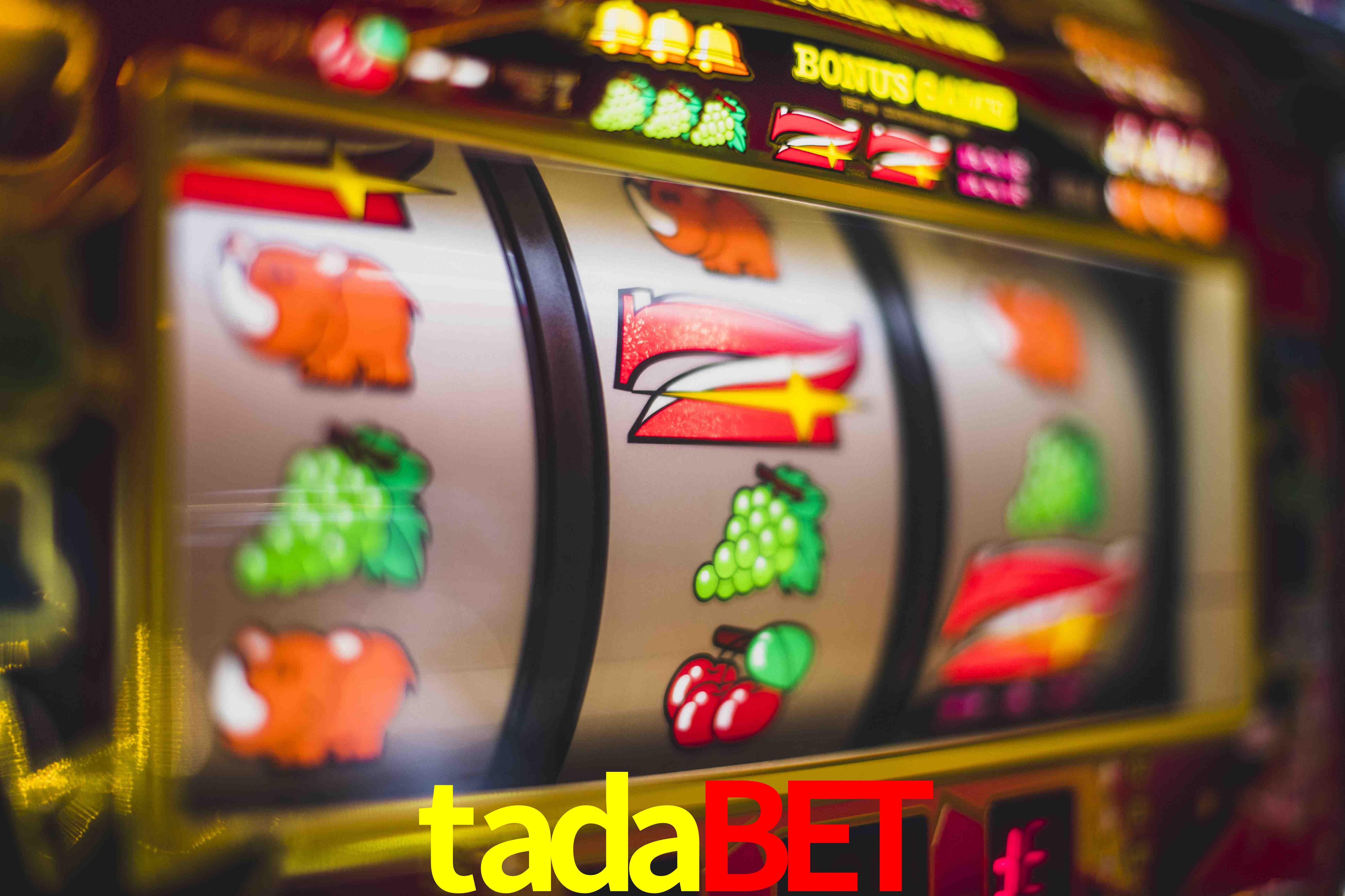 Basketball Betting tadabet